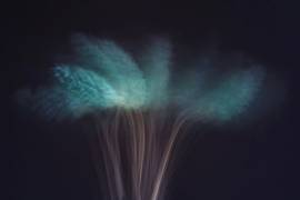 Visions in the Dark (Çiçek Kıral) - Muzeo.com