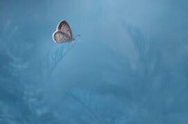 Waiting (Edy Pamungkas) - Muzeo.com