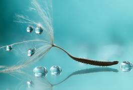 Water (Rina Barbieri ) - Muzeo.com