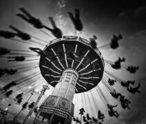 Wave swinger (Yi Fan) - Muzeo.com