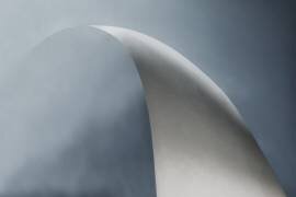 White bow (Gilbert Claes ) - Muzeo.com