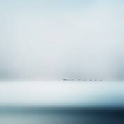 Wild geese (Piet Flour) - Muzeo.com