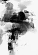 wild play (1x Studio II) - Muzeo.com