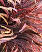 Wind Dancing (Robin Wechsler) - Muzeo.com