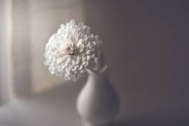 Window light (Jose Antonio Sanchez) - Muzeo.com