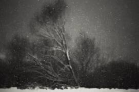 Winter (Photo Cosma) - Muzeo.com