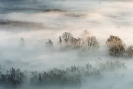Winter fog (Marco Galimberti) - Muzeo.com