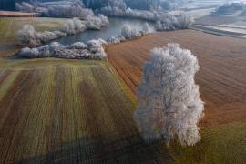 Winter idyll (Jure Kravanja) - Muzeo.com