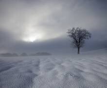 Winter Impression (Nicolas Schumacher) - Muzeo.com