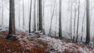 Winter moods (Burim Muqa) - Muzeo.com