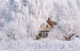 Winter Tale (Vlad Sokolovsky) - Muzeo.com