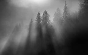 Wintersun (Andy Dauer) - Muzeo.com