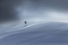 Wintertime (Uschi Hermann) - Muzeo.com
