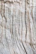 Wood Pattern (1x Studio III) - Muzeo.com