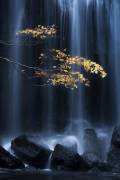 Yellow Autumn (Yuki Yatsushima) - Muzeo.com