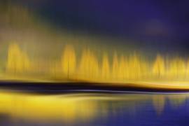 Yellow night (Heidi Westum) - Muzeo.com