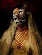 Zebra Lioness (Enza Paoli) - Muzeo.com