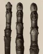 Aesculus Parviflora (Karl Blossfeldt) - Muzeo.com