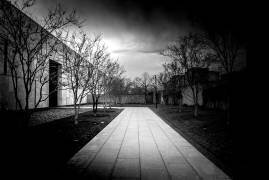 Barnes Foundation Nº1 (Guilherme Pontes) - Muzeo.com