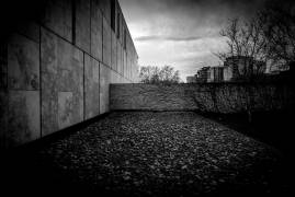 Barnes Foundation Nº2 (Guilherme Pontes) - Muzeo.com