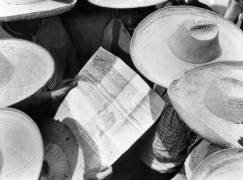 Campesinos reading El Machete, Mexico, 1929 (Tina Modotti) - Muzeo.com