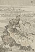 Badger (Hokusai) - Muzeo.com
