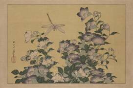 Bellflower and Dragonfly (Hokusai) - Muzeo.com