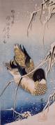 Duck and reeds (Hiroshige) - Muzeo.com
