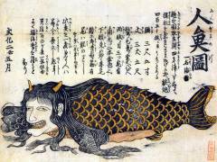 Mermaid (anonymous) - Muzeo.com