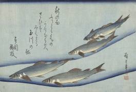 School forellen (Hiroshige) - Muzeo.com