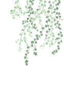 Birch Tree (1x Studio) - Muzeo.com