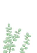 Branches (1x Studio) - Muzeo.com