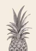 Ink Pineapple (1x Studio) - Muzeo.com