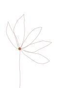 Minimal Flower (Anastasia Sawall) - Muzeo.com
