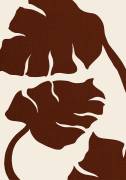 Monstera (1x Studio) - Muzeo.com
