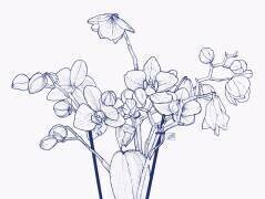 Orchidées (Léa Chounlamountry) - Muzeo.com