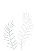 Pale Plants (1x Studio II) - Muzeo.com
