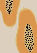 Papaya Fruit (1x Studio II) - Muzeo.com