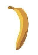Single Banana (1x Studio II) - Muzeo.com