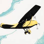 Aircraft (Reijer Stolk) - Muzeo.com