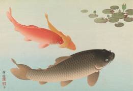Carp (Ohara Koson) - Muzeo.com