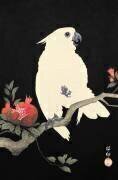 Cockatoo and pomegranate (Ohara Koson) - Muzeo.com