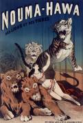 Nouma-Hawa its lions and its tigers (Imprimerie Emile Lévy (Paris)) - Muzeo.com