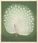 Peacock (Ohara Koson) - Muzeo.com