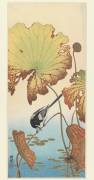 Wagtail and Lotus (Ohara Koson) - Muzeo.com