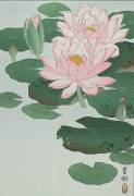 Water Lily (Ohara Koson) - Muzeo.com